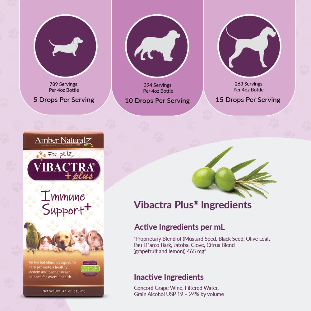 Amber NaturalZ Vibactra Plus Herbal Supplement for Dogs, Cats, Birds, Guinea Pigs, and Rabbits | Herbs for Immune Health and Yea